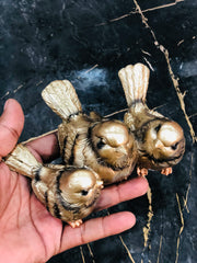 Aureate Sparrow Decor